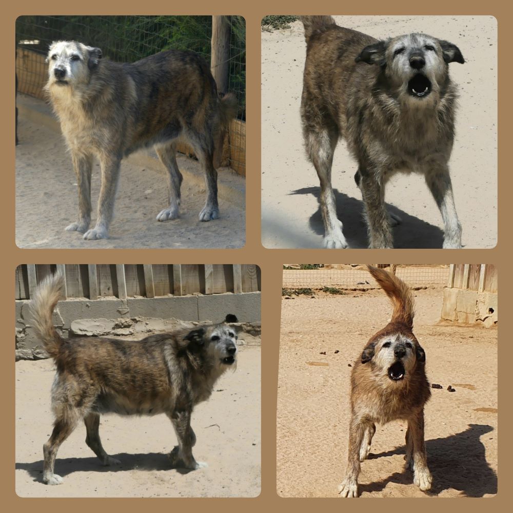 inCollage 20210902 185919683klein