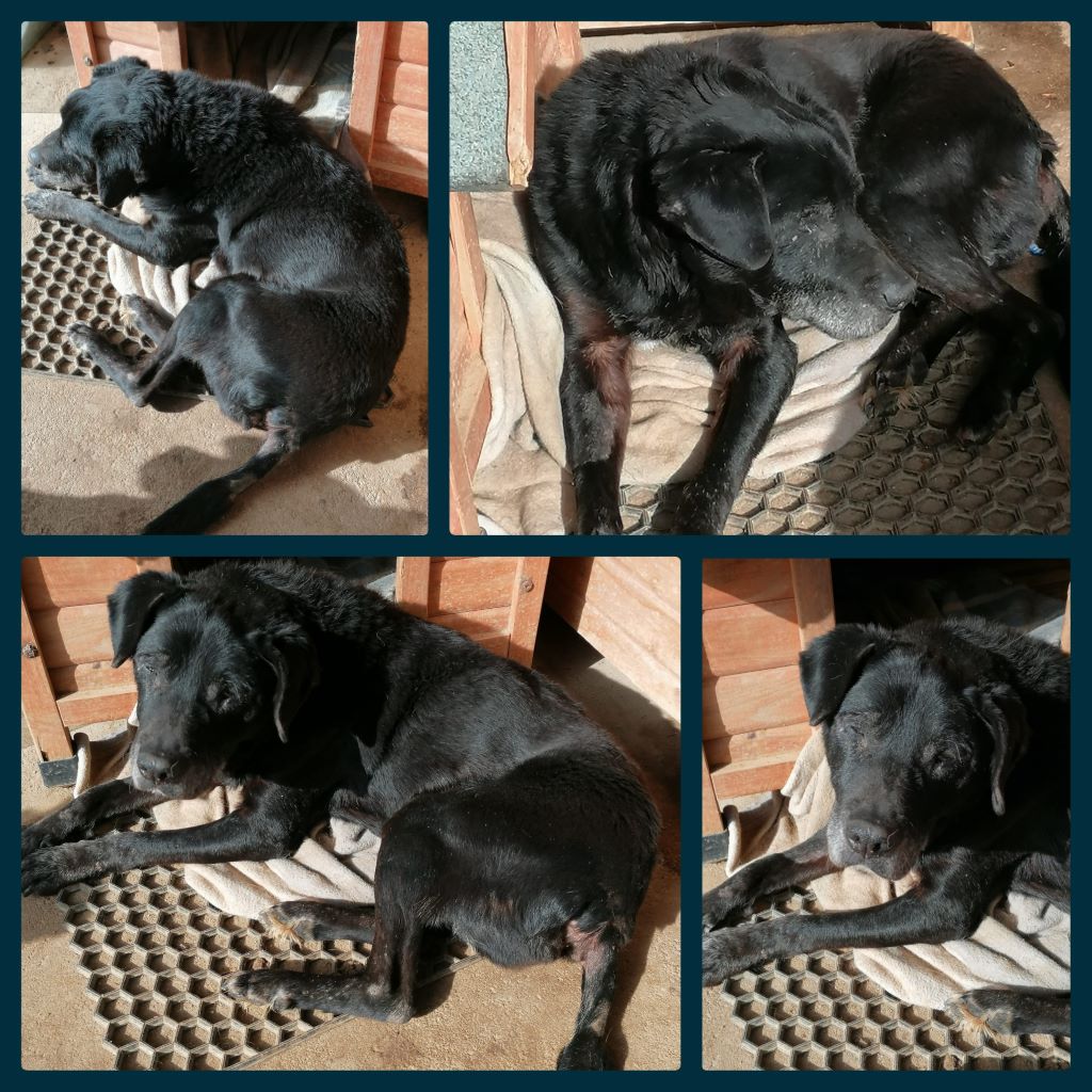 inCollage 20220210 011210433klein