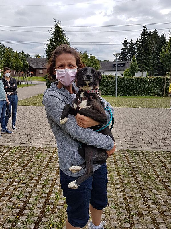 TiNo e.V. Tiere in Not HOME