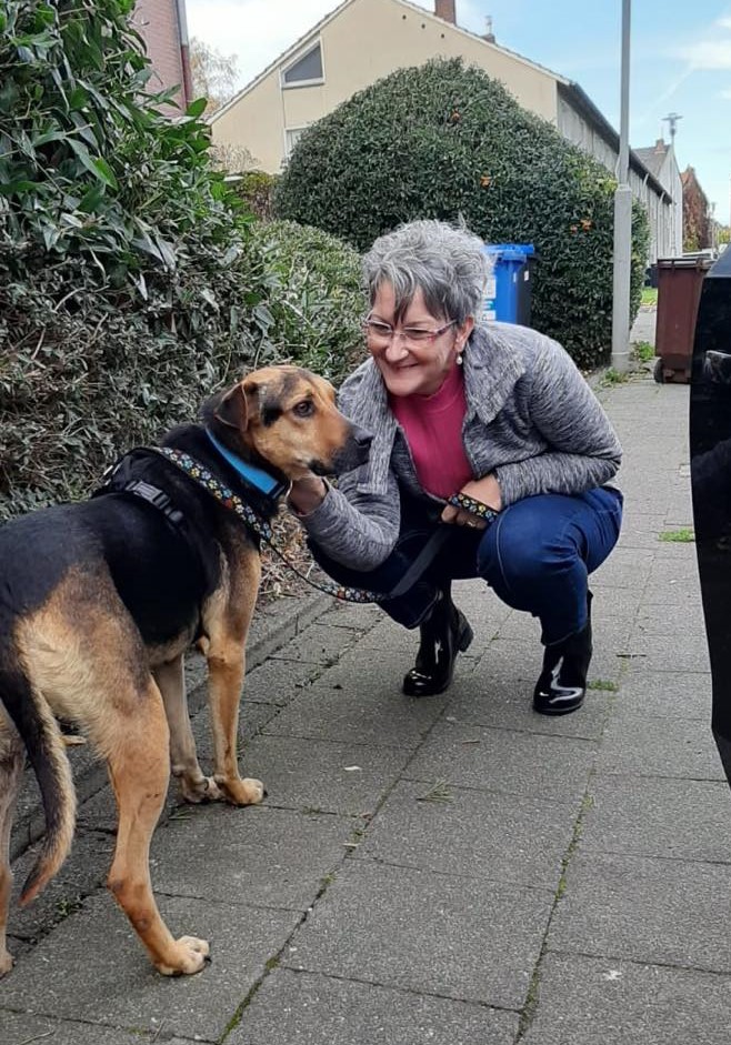 TiNo e.V. Tiere in Not Happy End für Lotte (ehemals Papillon)